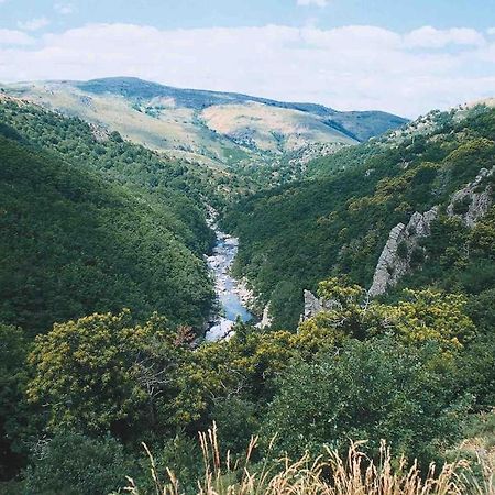 L'Oree Cevenole, Spa & Panorama D'Exception Saint Julien Les Rosiers 외부 사진